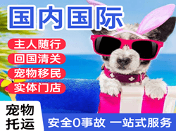 南昌昌北航空空运国际宠物托运 【国